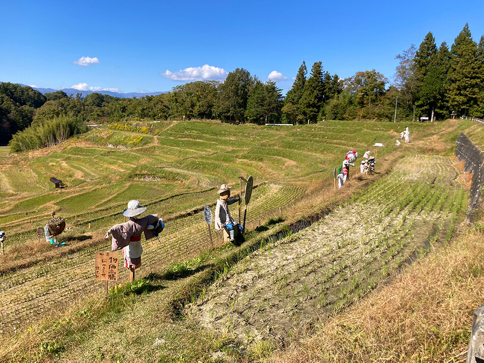 ロードバイク,自転車,天龍峡,飯田市,よこね田んぼ
