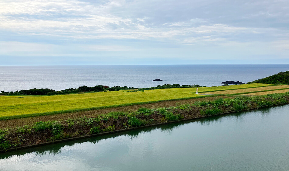 佐渡,佐渡島,ロードバイク,自転車,ライド