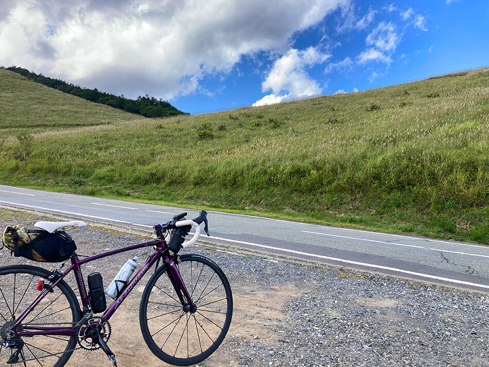 17ビーナスラインすすき