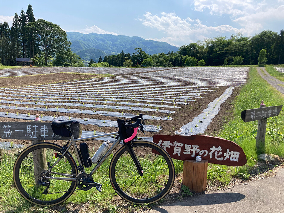 13伊賀野の花畑