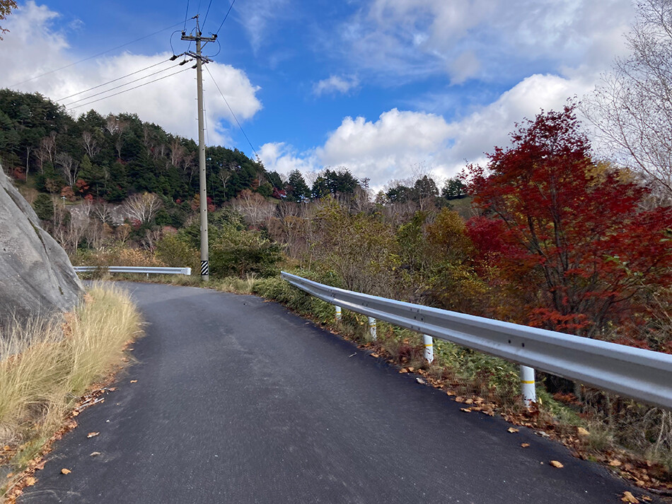 しらびそチャレンジ,ロードバイク,自転車,下栗,下栗の里,しらびそ