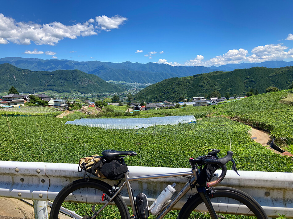 22フルーツライン