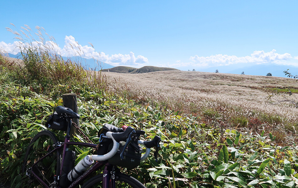 自転車,ロードバイク,ビーナスライン