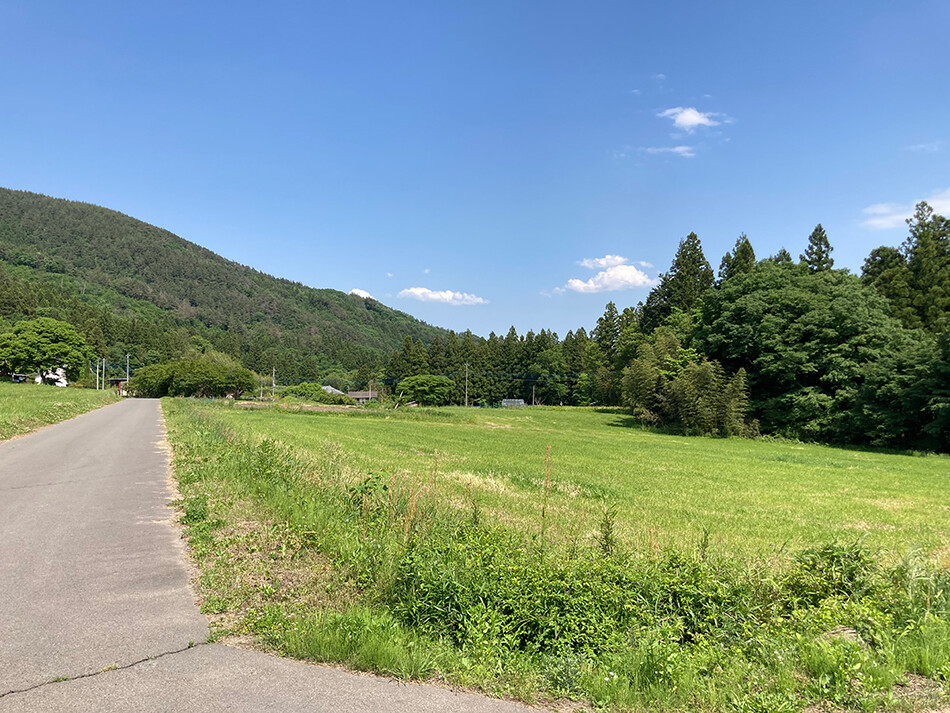 14伊賀野の花畑