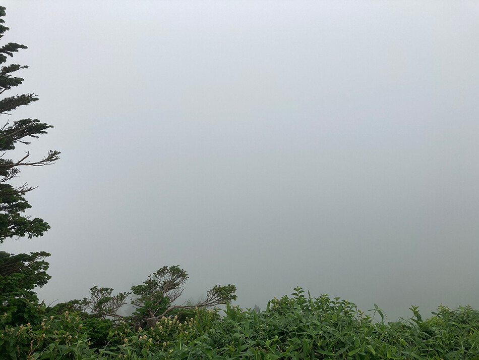 渋峠,ロードバイク,自転車,