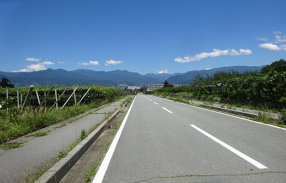 20フルーツライン