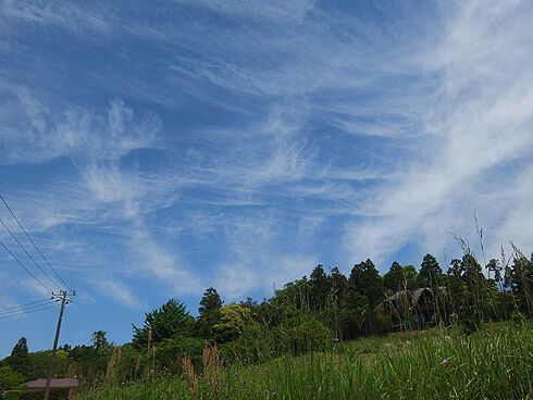 南房総サイクリング