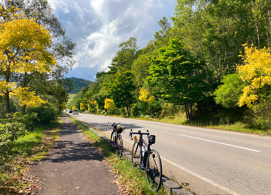 16ビーナスライン