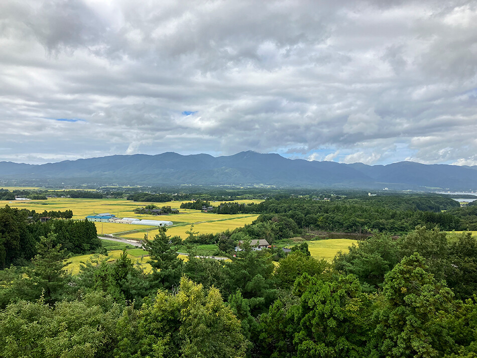 佐渡,佐渡島,ロードバイク,自転車,トキのテラス