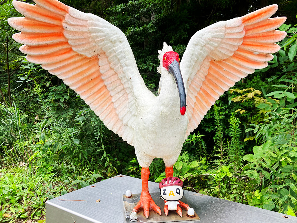 佐渡,佐渡島,ロードバイク,自転車,トキのテラス