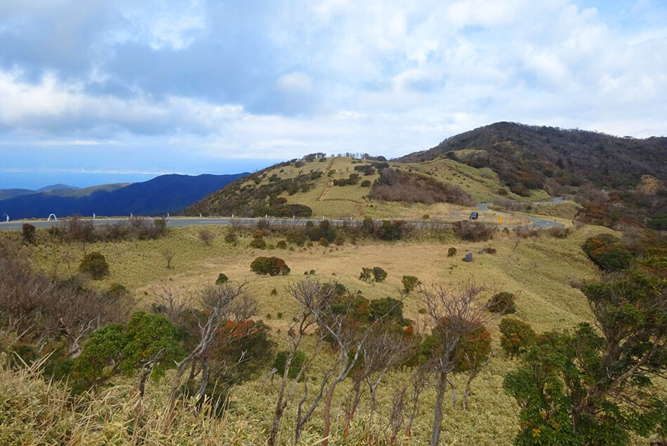 11西伊豆スカイライン