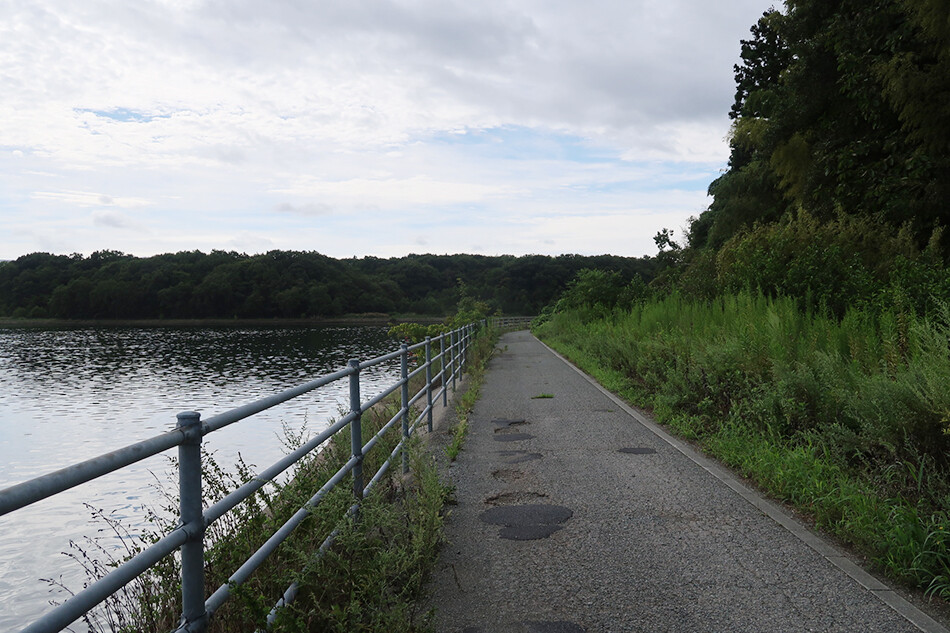佐渡,佐渡島,ロードバイク,自転車,加茂湖