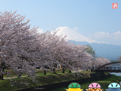 富士五湖サイクリング