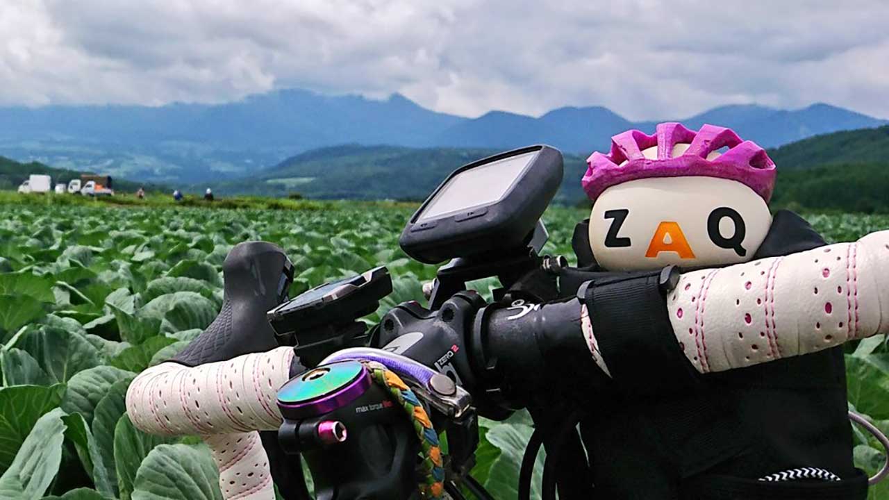 嬬恋パノラマライン,ロードバイク