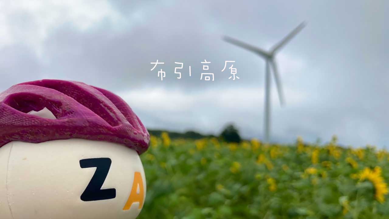 布引高原　ひまわり　向日葵　ヒマワリ