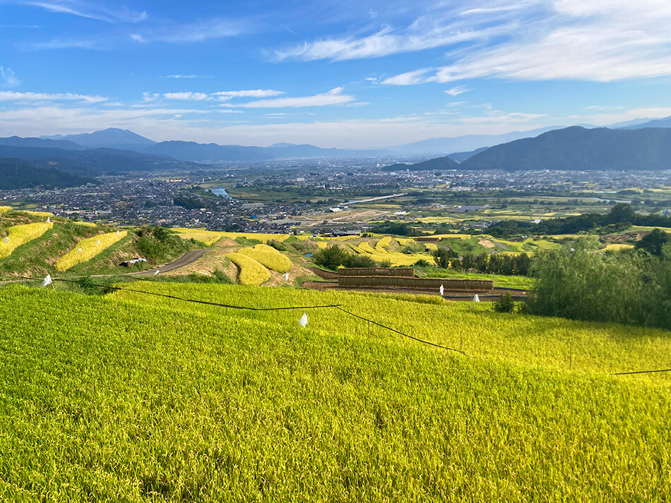 姨捨の棚田,自転車,ロードバイク