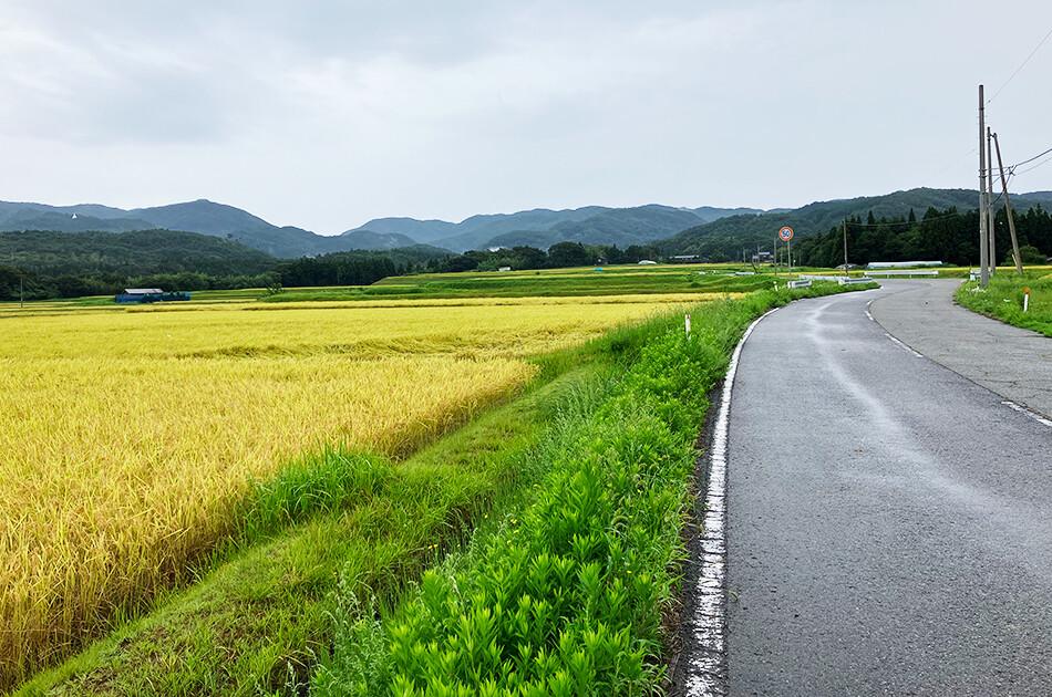 佐渡,佐渡島,ロードバイク,自転車,,ライド