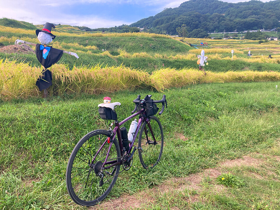 姨捨の棚田,自転車,ロードバイク