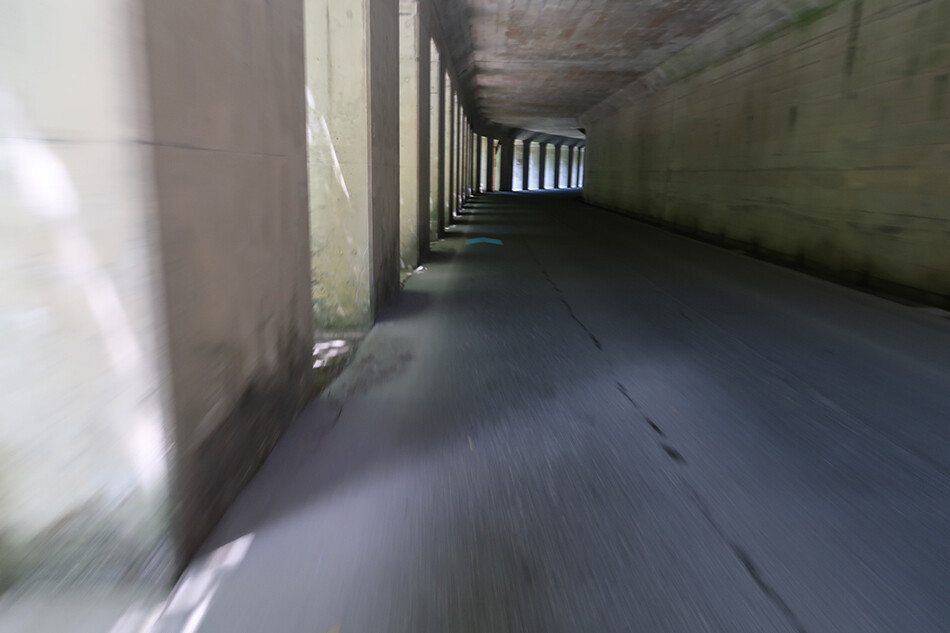 22スノーシェイド