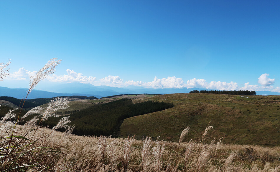 自転車,ロードバイク,ビーナスライン