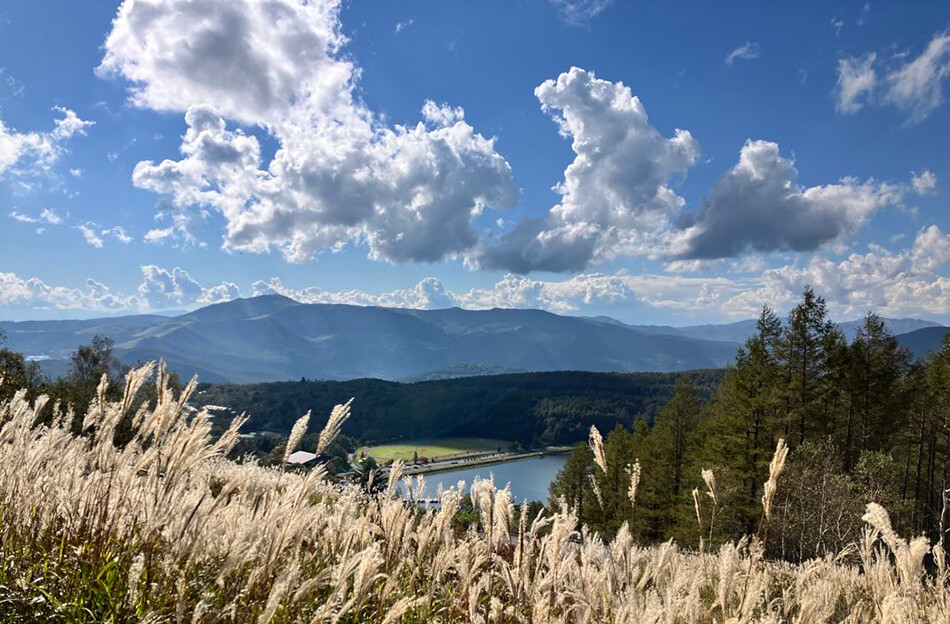 自転車,ロードバイク,ビーナスライン,大河原峠,夢の平展望園地