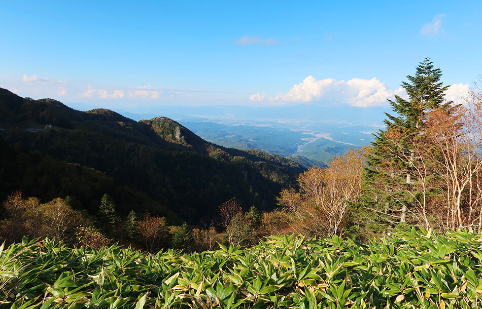 ロードバイク,自転車,大河原峠,