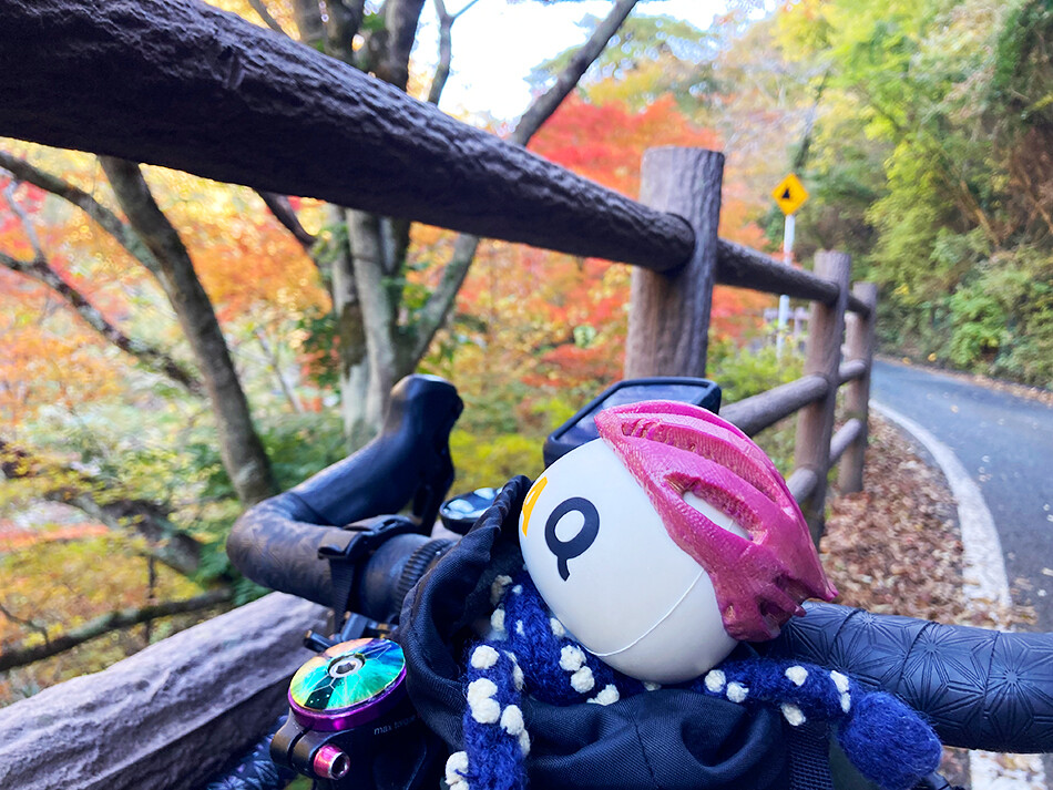 06昇仙峡ライン