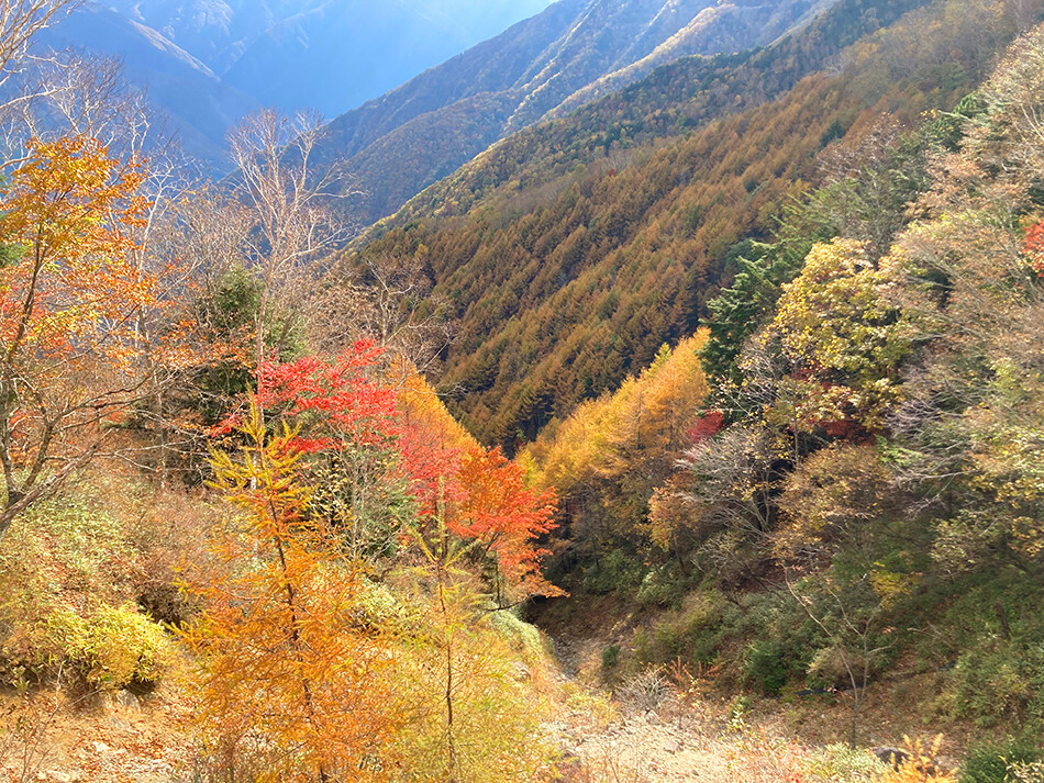 しらびそチャレンジ,ロードバイク,自転車,下栗,下栗の里,しらびそ