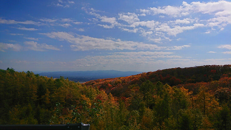 11マウントジーンズ