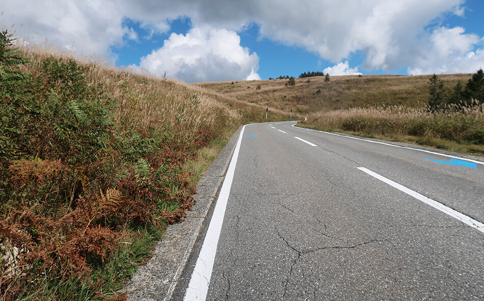 自転車,ロードバイク,ビーナスライン