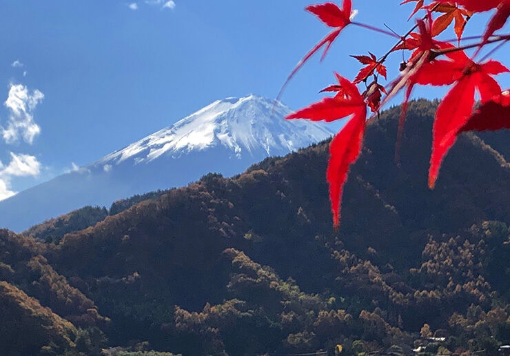 15河口湖と紅葉.jpg