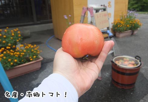 14-南郷トマト.jpg