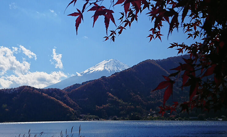 14河口湖と紅葉.jpg