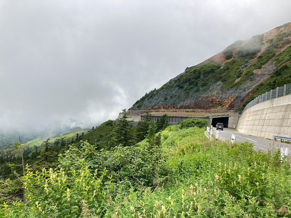 渋峠,ロードバイク,自転車,横手