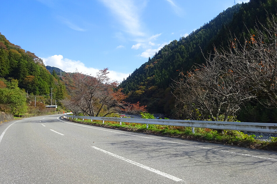 道の駅遠山郷,しらびそチャレンジ,ロードバイク,自転車