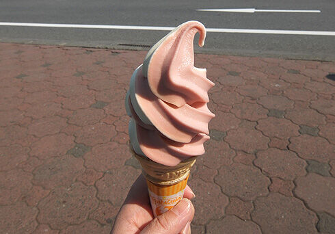 富士五湖サイクリング