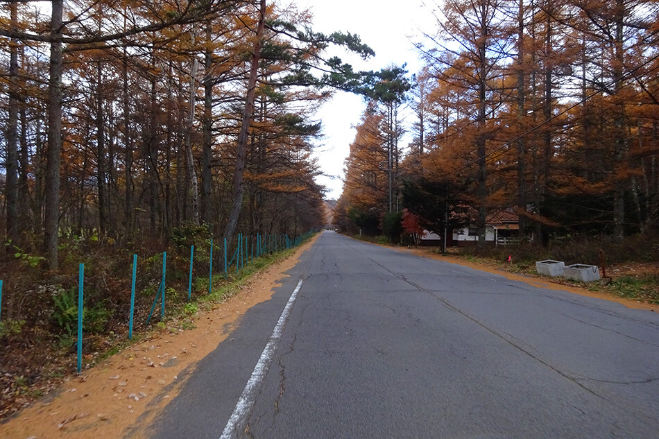 17北軽井沢