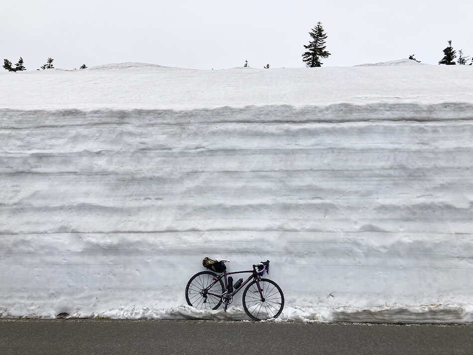 渋峠,ロードバイク,雪の回廊,自転車