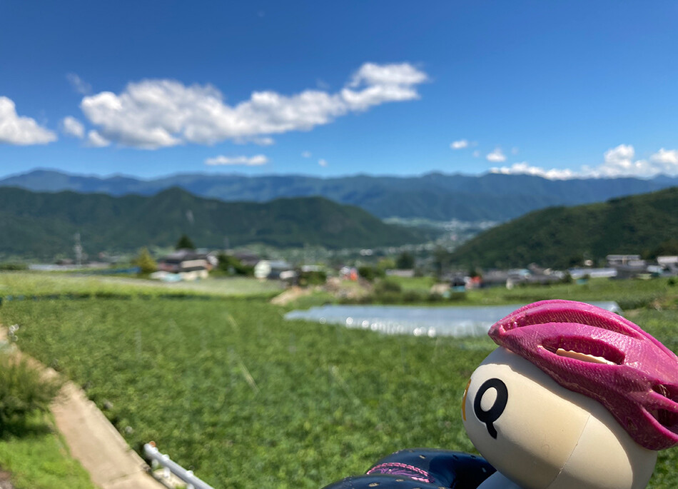 23フルーツライン