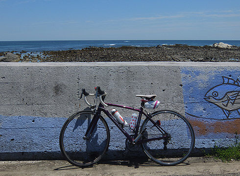 南房総サイクリング