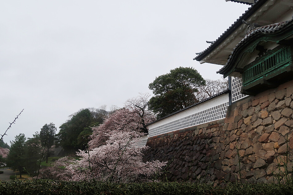 11金沢城址公園