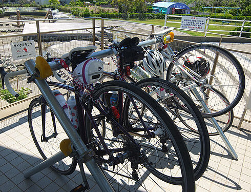 南房総サイクリング