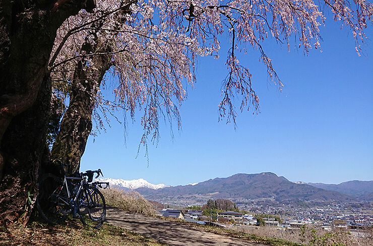 14下川田の桜.jpg