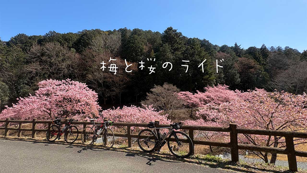 飯能,桜,河津桜,桃木農林公園