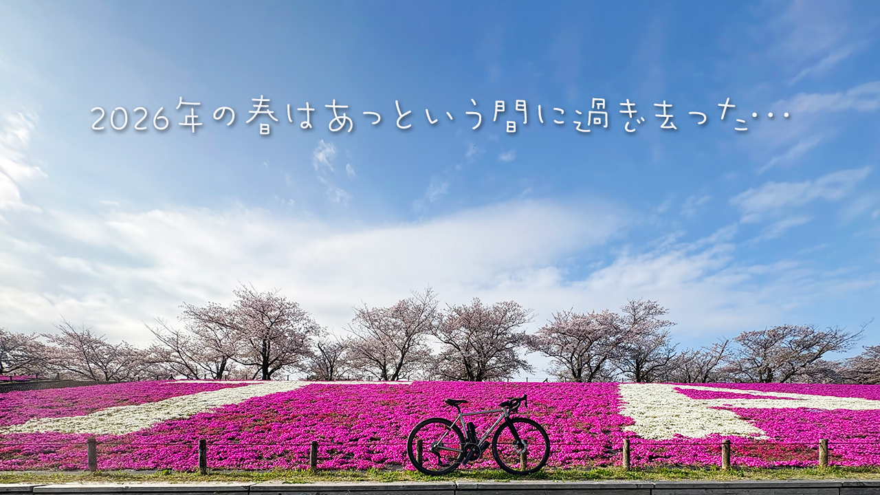 荒川サイクリングロード,岩淵水門,芝桜,シバザクラ