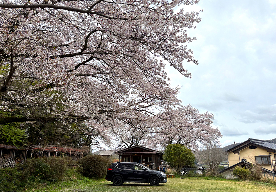 ブーランジェ770 Boulange770