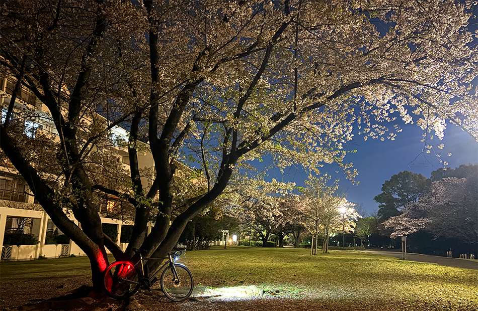 光が丘の桜とロードバイク・エンメアッカ