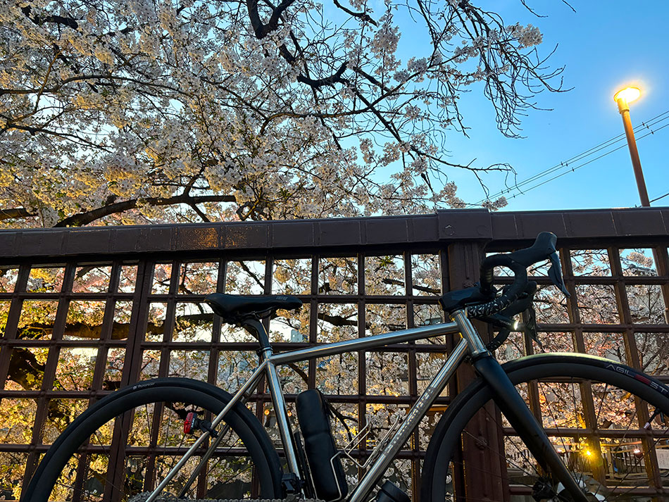 石神井川の桜とロードバイク・エンメアッカ