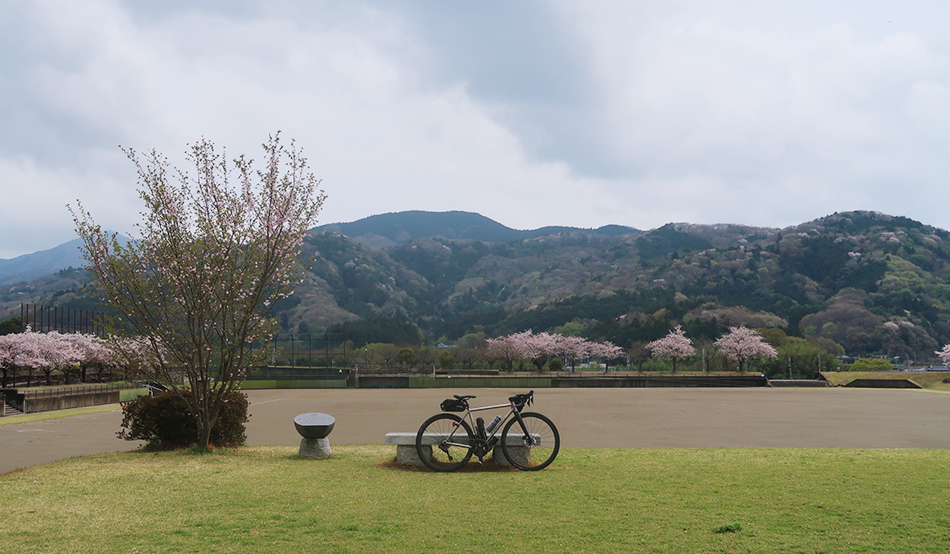 桜川市総合運動公園,桜
