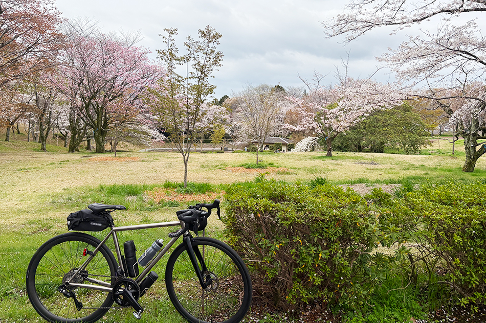 磯部桜川公園,桜,西の吉野東の桜川